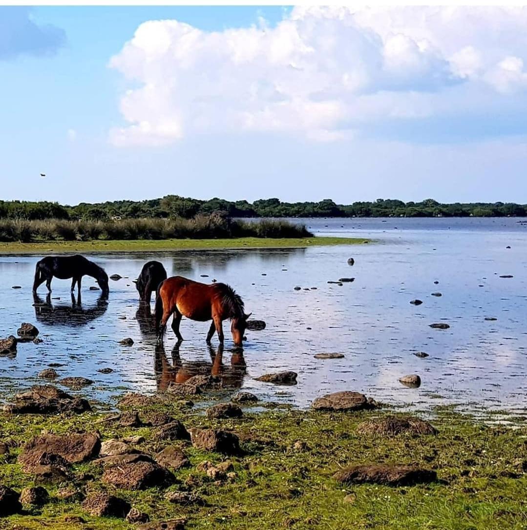 Casa Susanna Rural Sardinia Sini Εξωτερικό φωτογραφία